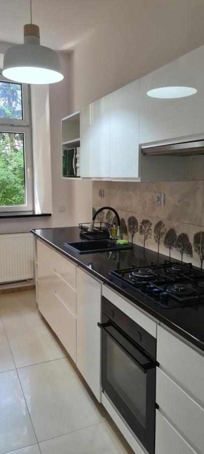 Apartment Na Zamkowej Krakow Dış mekan fotoğraf